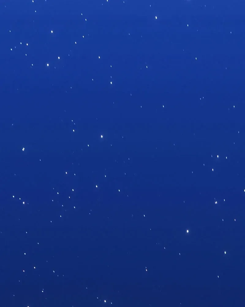 Gậy Gỗ Cấp 99+ - Chương 185