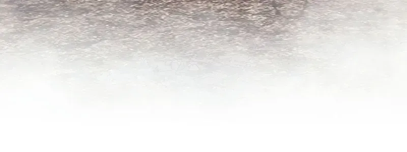 Gậy Gỗ Cấp 99+ - Chương 186