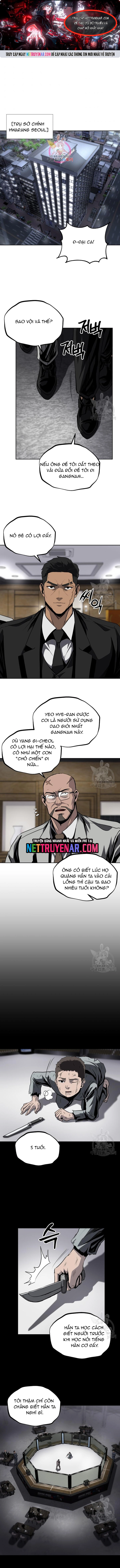 Vương Đạo - Chương 47