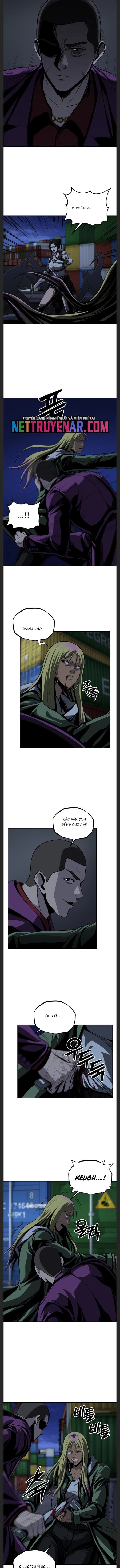 Vương Đạo - Chương 48