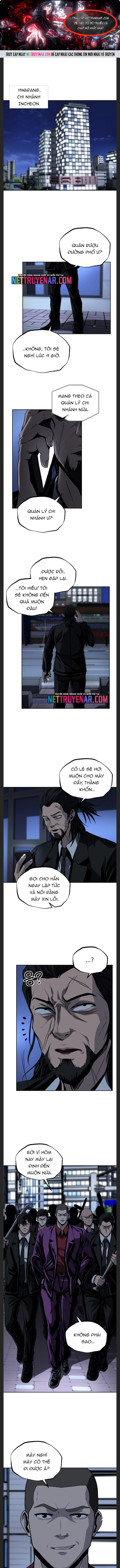 Vương Đạo - Chương 50