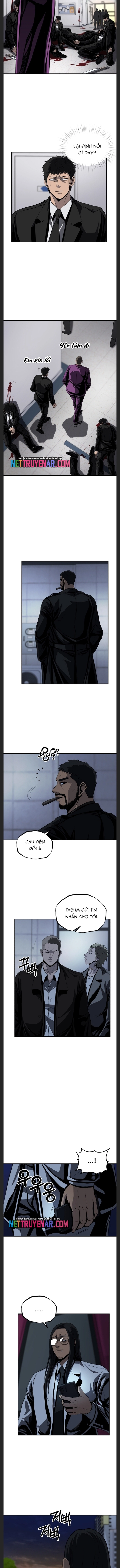 Vương Đạo - Chương 51